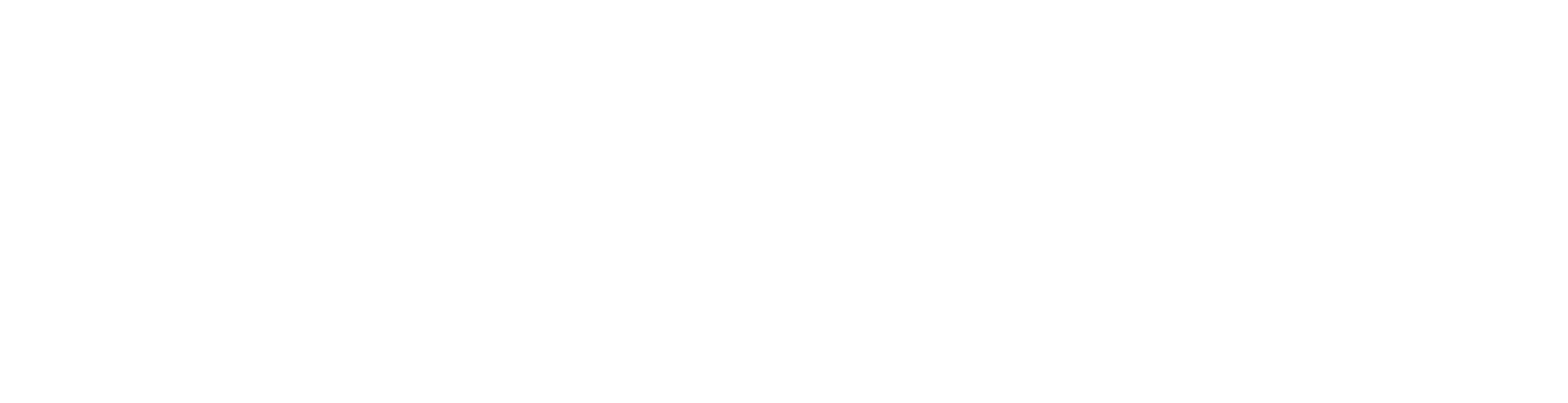 LeucinOS